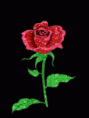 /album/fotogaleria/a108-gif/